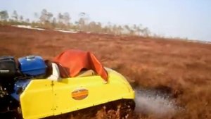 Мотособака по болотам#мотобуксировщик#болото