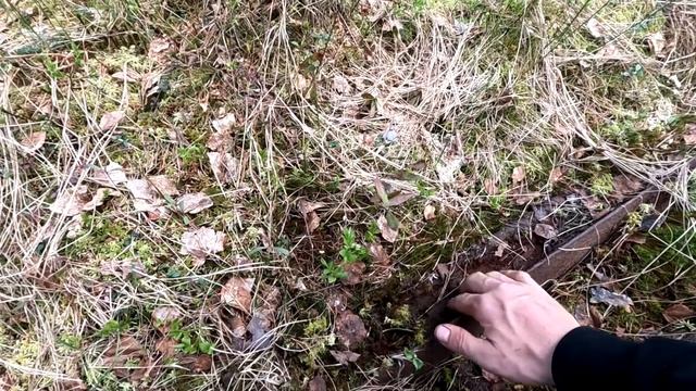 Крупный металл больше не копаю. По гиблым местам. Здесь люди не ходят. Навестил озеро среди болот.