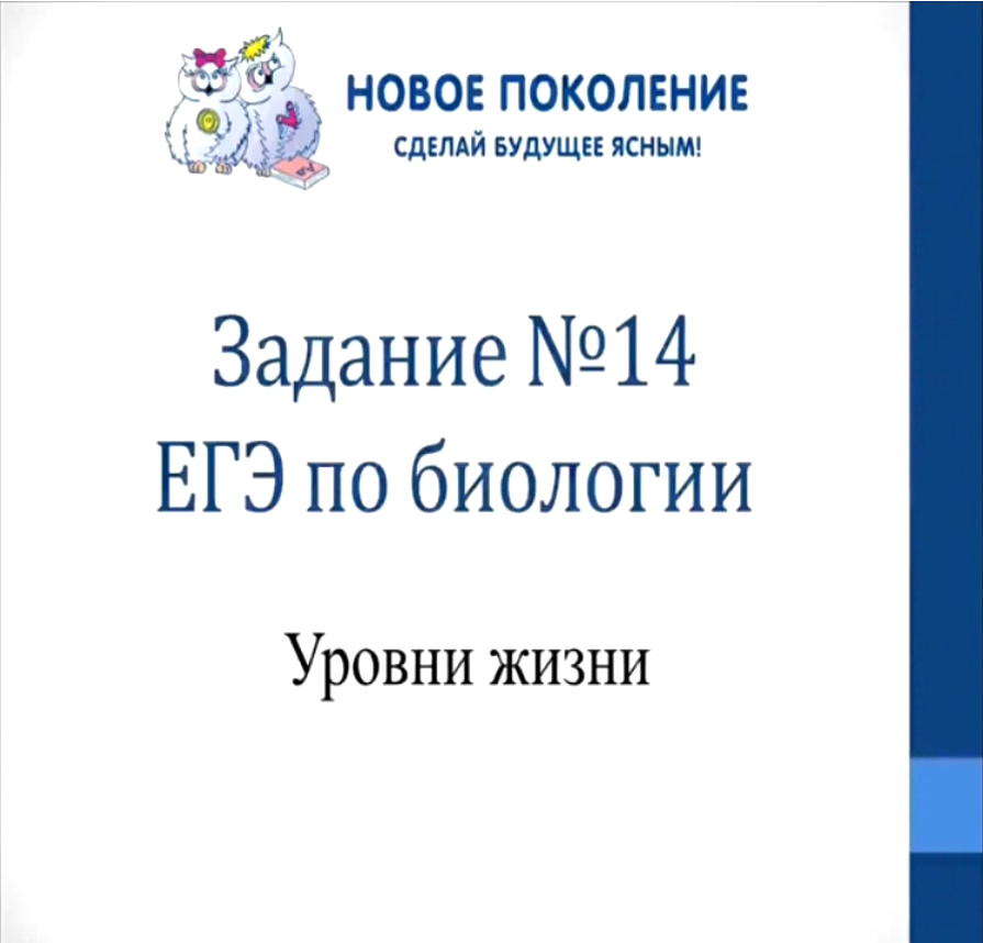 Биология. Разбор задания №14 ЕГЭ по биологии "Уровни жизни" смотреть онлайн