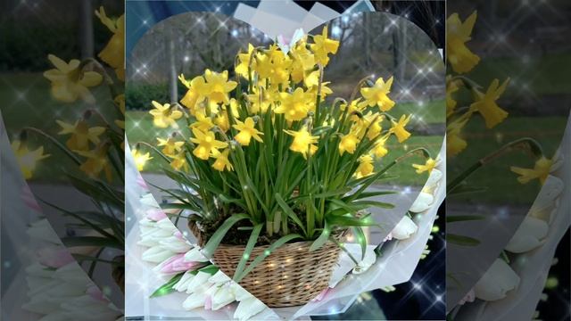 ??С 8 МАРТА МАМУЛЯ!?? #8марта #длямамы #2023 #foryou #лучшее #funny #поздравлениемаме #пожелание