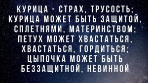 К чему снятся животные.Если приснились животные.К Чему снятся животные.
