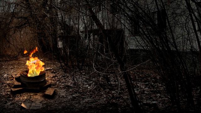 Radio STALKER | Guitar and Campfire (Гитара и костёр) смотреть онлайн