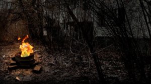 Radio STALKER | Guitar and Campfire (Гитара и костёр)