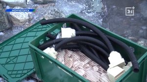 Разведение Лосося в Озере Имандра