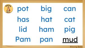 Practice Reading CVC Words | Simple Sentences | Reading 3-Letter Words | Practice Reading English