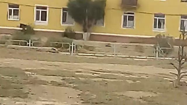 Козы паркурщики смотреть онлайн