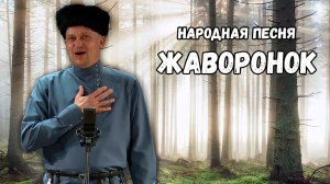Жаворонок. Владимир Новиков, казачий ансамбль Атаман