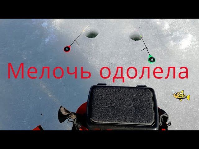 Наловил мелочь кошкам на обед :-) #NIK_72 смотреть онлайн