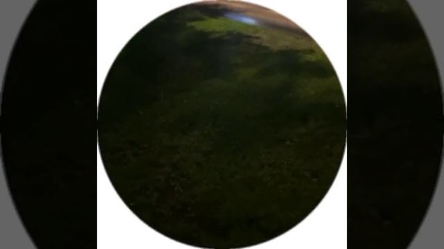 WormGanger & молодой калуга vs Kai Angel смотреть онлайн