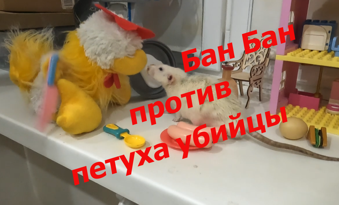 2 серия. Бан Бан против петуха убийцы