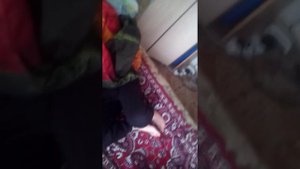 Мама хочет утопить котят они радились 1 минуту наз