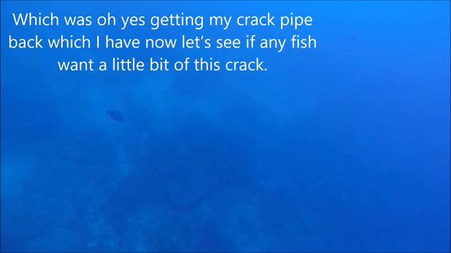 banks trout animal crack pipe adiction смотреть онлайн