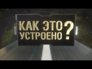 Как это устроено? Как устроен главный офис компании        12+