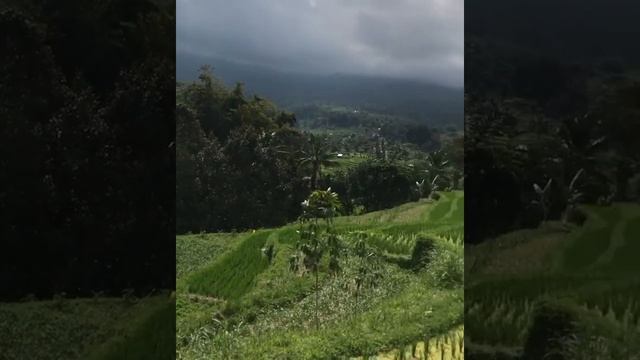 Indahnya Jatiluwih Tabanan Bali