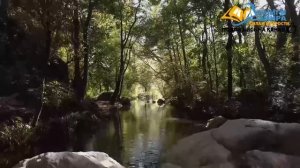 Эта Книга Разоряет Всех Психологов! Подарок Человечеству От Духовных Учителей! l НИКОШО