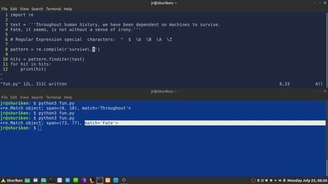 33 - Python Regular Expressions: Part 4 смотреть онлайн