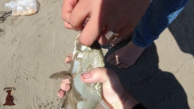 Летняя рыбалка в Июле, Лещи на донку с берега , Щука на живца тоже на донку смотреть онлайн