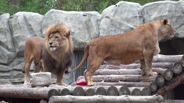Сэм и Найти. 15.05.2022 смотреть онлайн