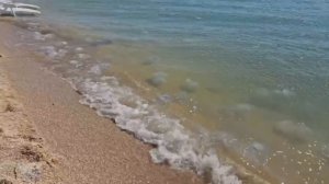 Медузы на Азовском побережье: что делать при ожоге корнеротов?