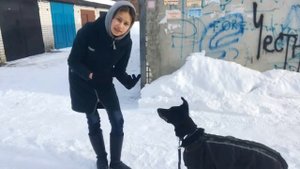 Учим собаку успокоению, когда пёс возбуждён и тянет | wd