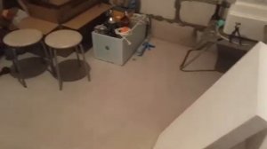 Брудер из пенопласта своими руками