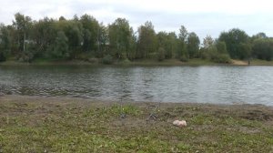 ЛОВЛЯ КАРАСЯ ОСЕНЬЮ -ВСЕ, ЧТО НУЖНО ЗНАТЬ!! ВЫБОР МЕСТА ДЛЯ РЫБАЛКИ,СНАСТЕЙ, НАЖИВОК И ПРИКОРМОК!!