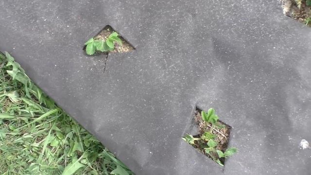 Мама! Что будем делать? Пока папа строит дом. Утро. смотреть онлайн