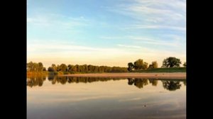Заринск, край берёзовый