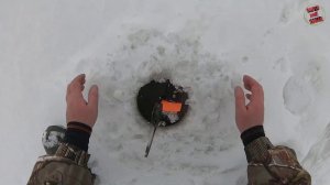 Жерлицы на налима.