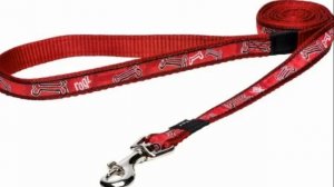 Как выбрать поводок для собаки