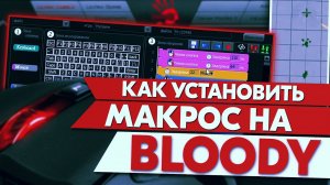 Макросы для Bloody (Блади). Как установить?