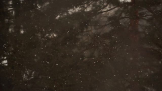 Entspannungsmusik zur Weihnachtszeit. Gitarre. 🌲 Рождественская немецкая музыка. Гитара.🌲