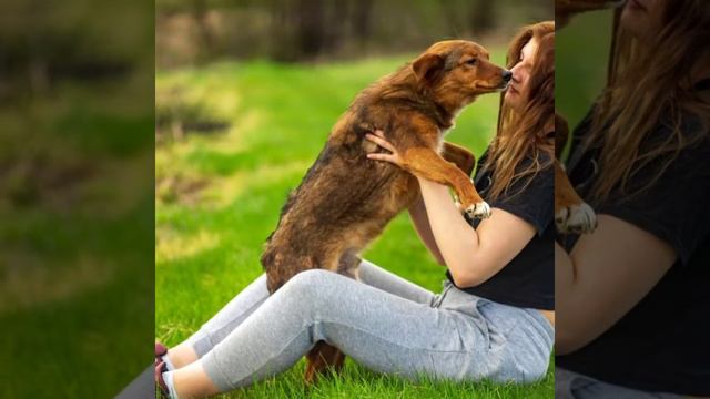 Присмотритесь... Возможно кто-то из них ждёт именно Вас 🐾 смотреть онлайн