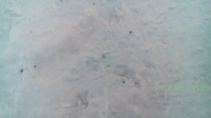 Как выбрать обкатнной и натяжной ролик ВАЗа 2110- 2112