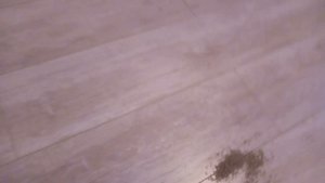 Dyson DC 37 отзыв реального владельца за год эксплуатации