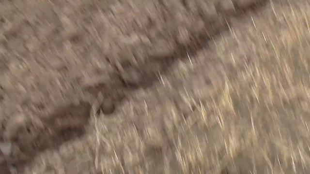 КОПАЮ НАЗЛО ВСЕМ ВЕТРАМ!