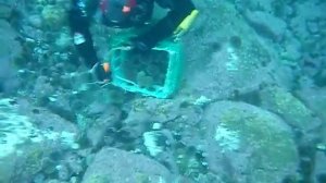 Промысел морского ежа баренцево море Sea urchin fishing