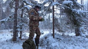Новичок на охоте. Охота на боровую дичь. Тишина