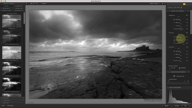 The Two Most Powerful Sliders in Nik Silver Efex Pro: Bitesize Nik Tutorials смотреть онлайн