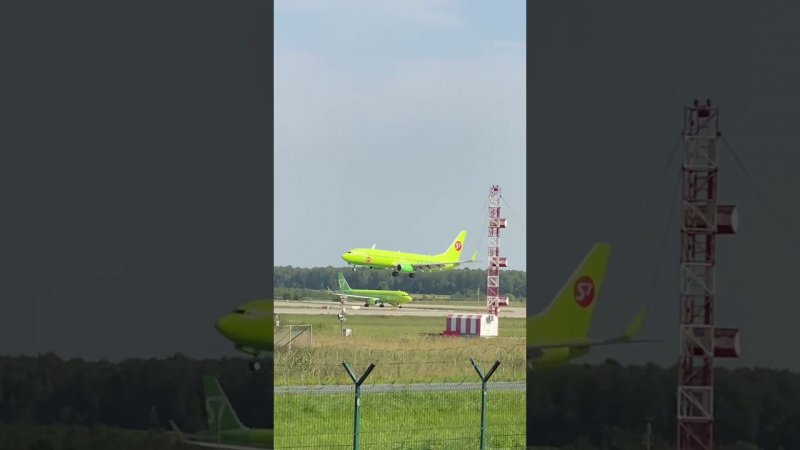 Beautiful landing of B737 and Airbus A321. August, 20. My #shorts #shortsvideo