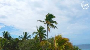 Monolink live at Gaatafushi Island, in the Maldives for Cercle and W Hotels  (VEVAL.RU)