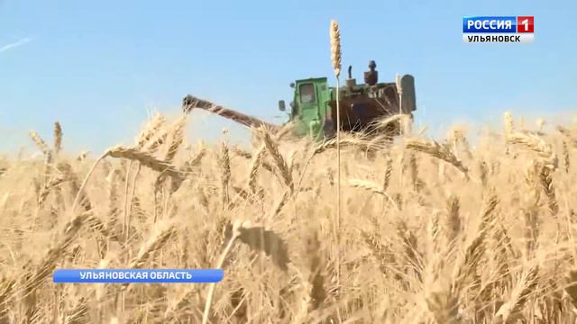 Грантовая поддержка фермеров