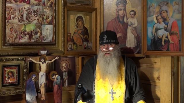Сужение сосудов. Почему в опасное время для сердца, сосуды ссужаются защищая сердце.