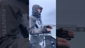 Haswing 2.0 (с кнопкой якоря на пульте)