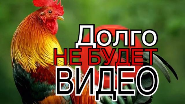ОЧЕНЬ ВАЖНО! ФАБИ УЕЗЖАЕТ НАВСЕГДА?!? ШОК!!! смотреть онлайн