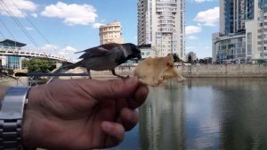 КТО УСПЕЛ, ТОТ И СЪЕЛ!!!!!!!!!!!