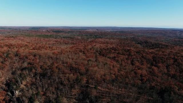 Кортеж из джипов остановился у кладбища и из окна выкинули коробку. А когда сиротка Юля решила.. смотреть онлайн