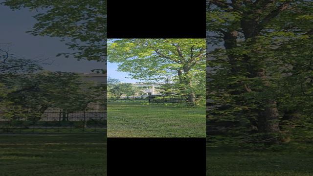 Памятник большивикам расстреляным Колчаком в Красноярске.
