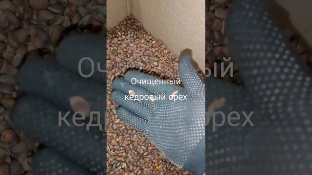 очищенный кедровый орех смотреть онлайн