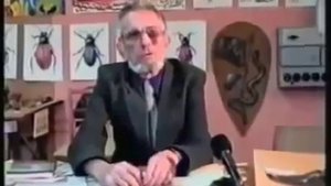 Виктор Гребенников.Сотовый болеудалитель. Антигравитационная платформа.mp4